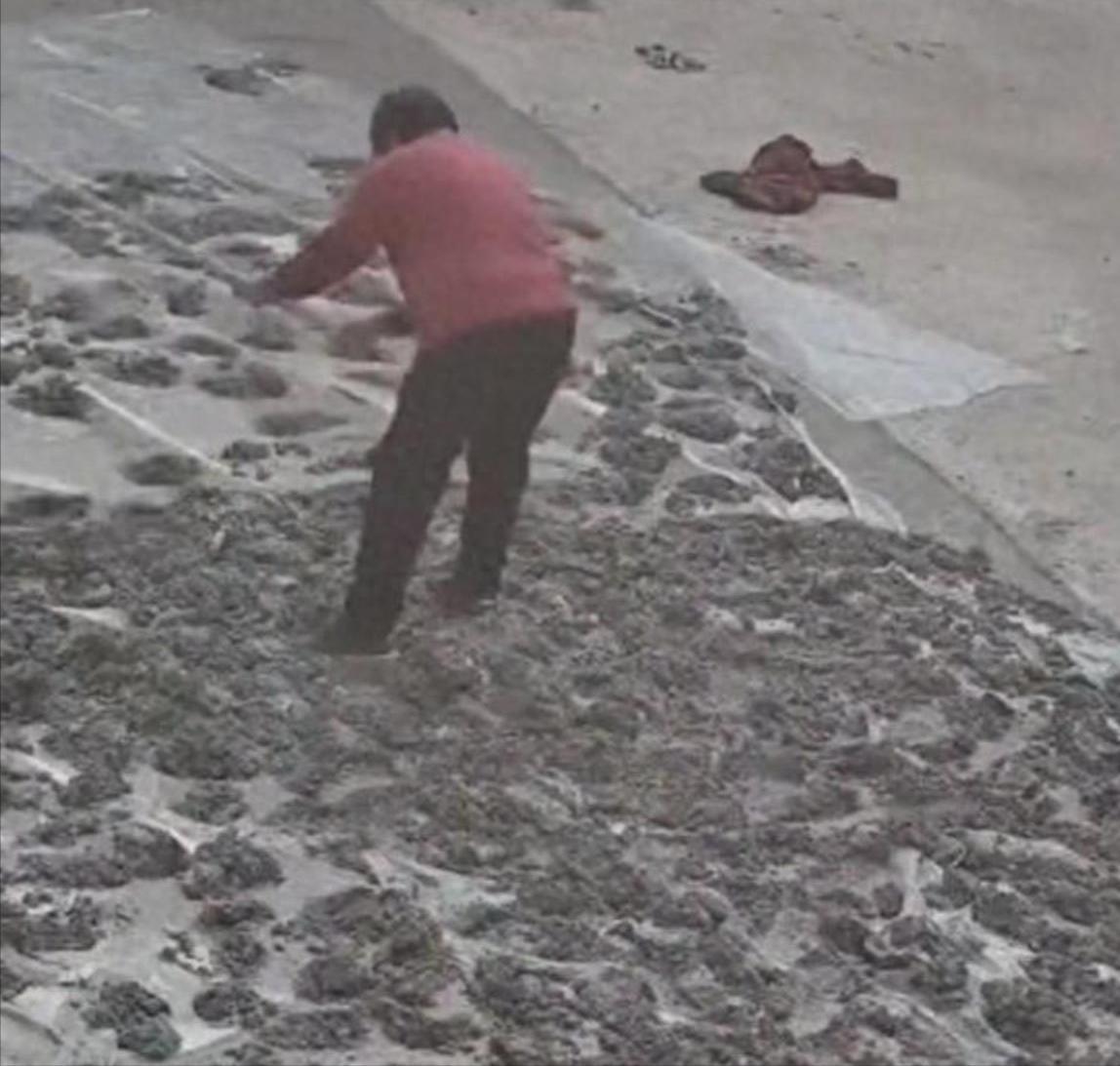 B体育登录入口-80岁老太毁水泥地后续：损失超5000元，子女连夜返回，原因太离谱